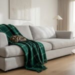 Chat tigré endormi sur un plaid vert à carreaux recouvrant un canapé gris. Décor de salon lumineux et contemporain.