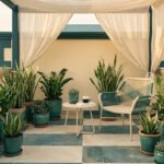 Une terrasse ensoleillée avec une pergola, une chaise et de nombreuses plantes vertes en pot sur un sol en damier.
